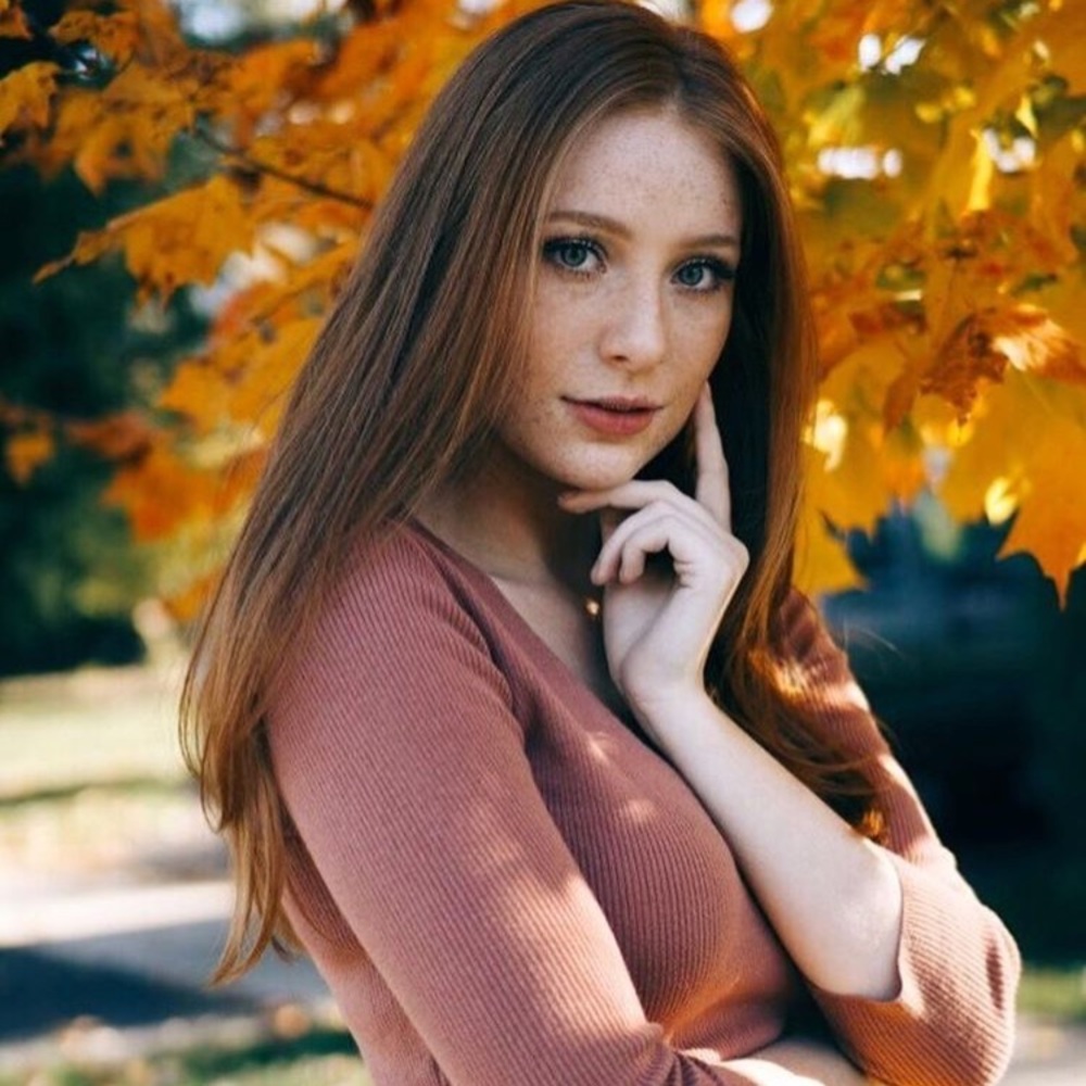 Knit Fitted Quarter Length Sleeves Dress